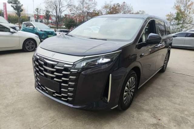 Used BYD Xia 2025 DM-i 1.5T 100km Leading Model