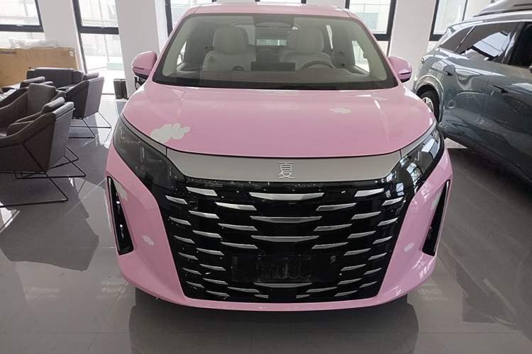 Used BYD Xia 2025 DM-i 1.5T 180km Excellence Model Front