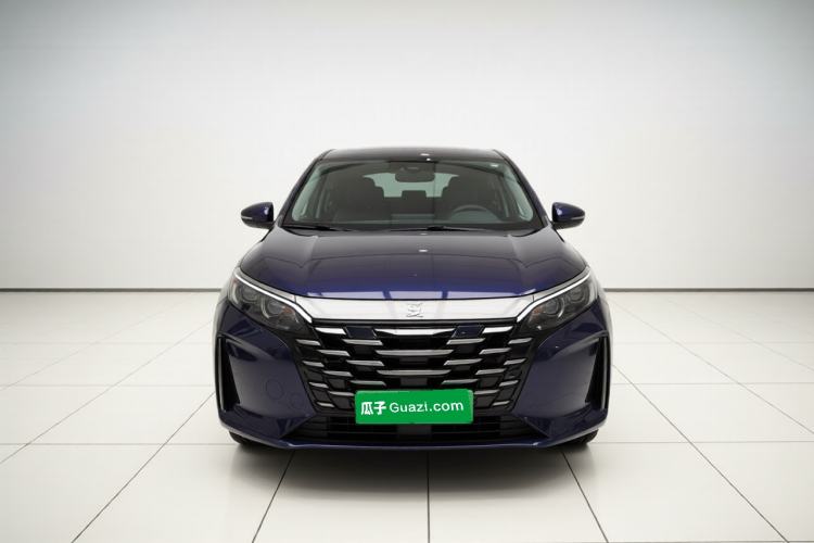 Used BYD Xia 2025 DM-i 1.5T 180km Excellence Model Exterior 1