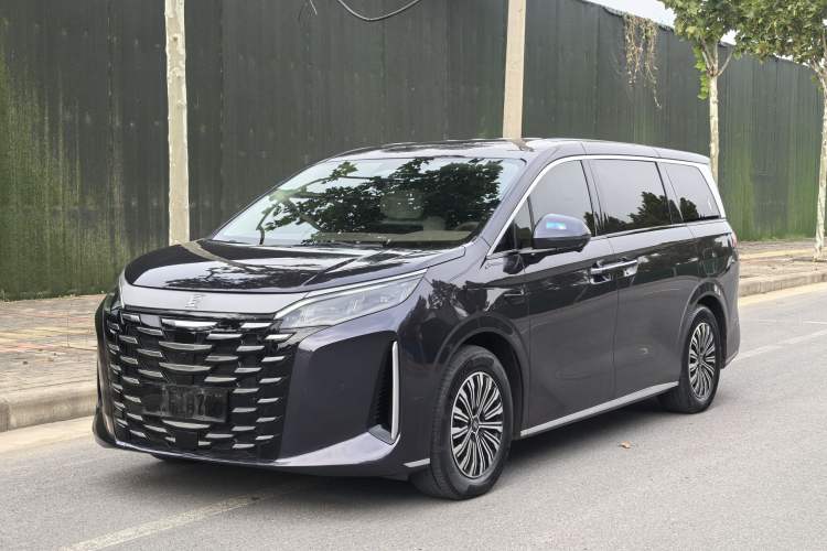 Used BYD Xia 2025 DM-i 1.5T 180km Excellence Model Exterior 1