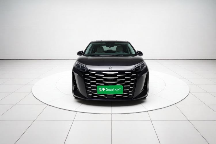 Used BYD Xia 2025 DM-i 1.5T 100km Supreme Edition Exterior 1