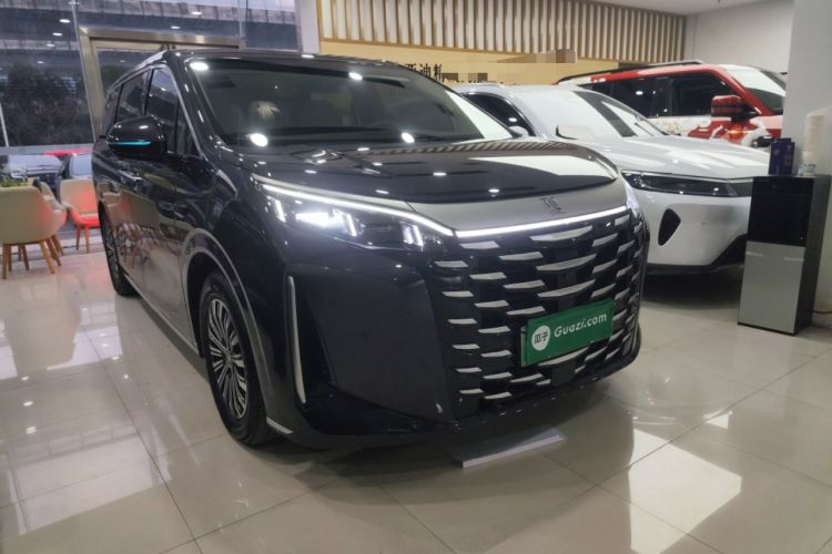 Used BYD Xia 2025 DM-i 1.5T 180km Excellence Model Exterior 1