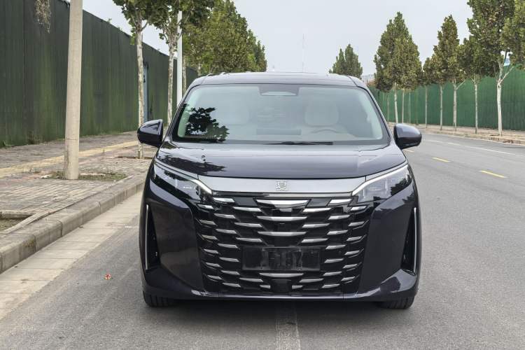 Used BYD Xia 2025 DM-i 1.5T 180km Excellence Model Exterior 2