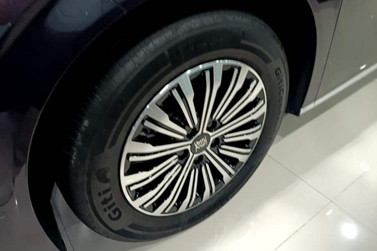Used BYD Xia 2025 DM-i 1.5T 100km Supreme Edition Exterior 4