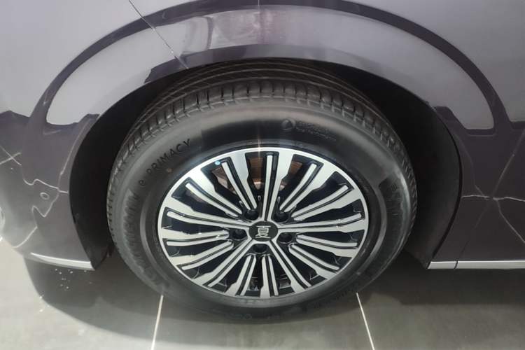 Used BYD Xia 2025 DM-i 1.5T 180km Excellence Model Exterior 4