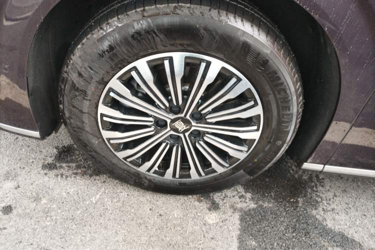Used BYD Xia 2025 DM-i 1.5T 180km Excellence Model Exterior 4