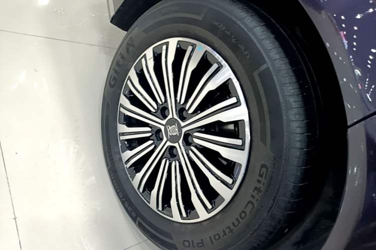 Used BYD Xia 2025 DM-i 1.5T 100km Supreme Edition Exterior 5
