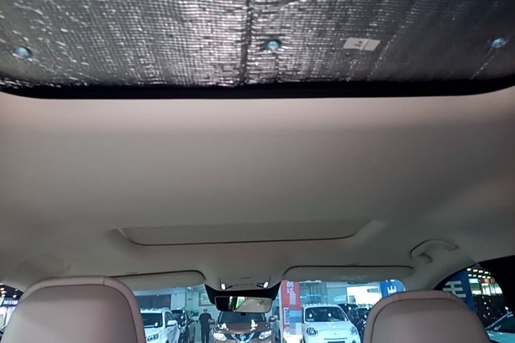 Used BYD Xia 2025 DM-i 1.5T 100km Supreme Edition Headliner