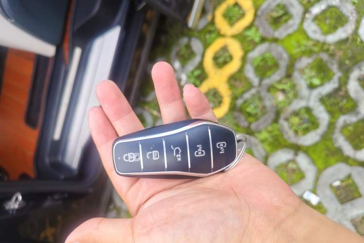Used BYD Xia 2025 DM-i 1.5T 180km Excellence Model Interior 1