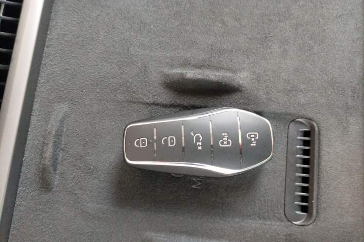 Used BYD Xia 2025 DM-i 1.5T 180km Excellence Model Interior 1