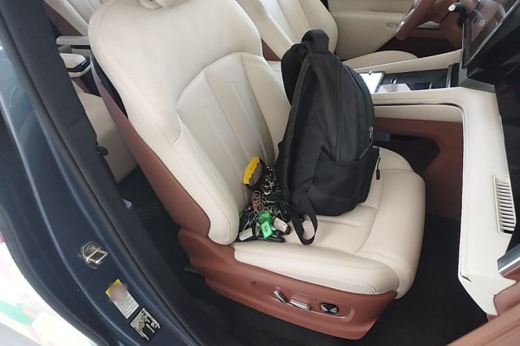 Used BYD Xia 2025 DM-i 1.5T 180km Excellence Model Right Front Seat