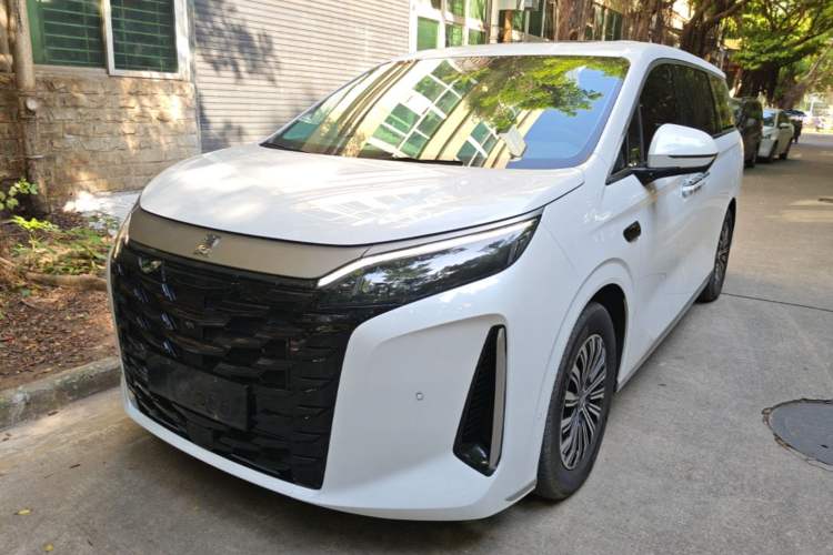 BYD Xia 2025 DM-i 1.5T 180km Excellence Model