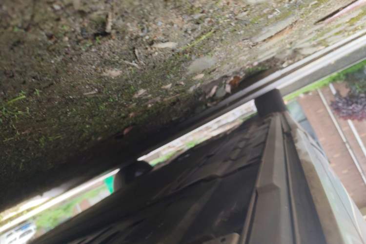 Used BYD Xia 2025 DM-i 1.5T 100km Supreme Edition Chassis Rear Left