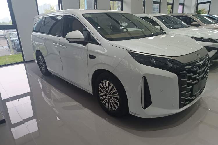 Used BYD Xia 2025 DM-i 1.5T 180km Excellence Model Exterior 2