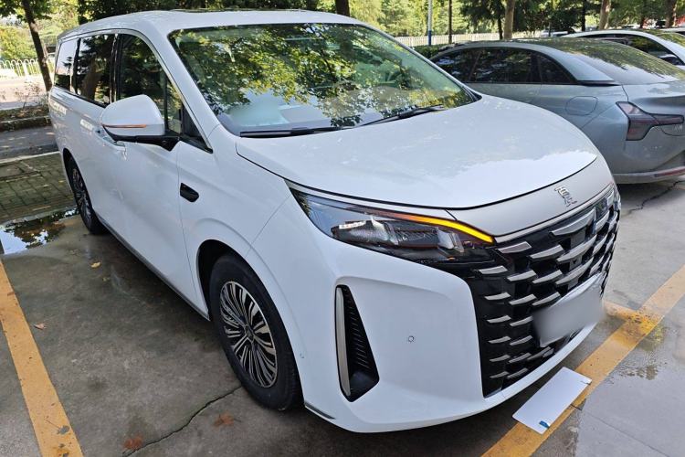 Used BYD Xia 2025 DM-i 1.5T 180km Excellence Model Exterior 2