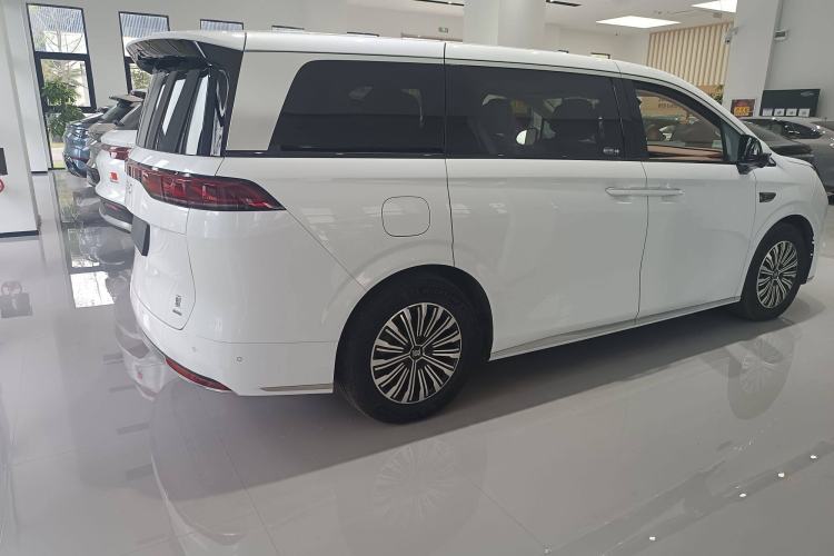 Used BYD Xia 2025 DM-i 1.5T 180km Excellence Model Exterior 3