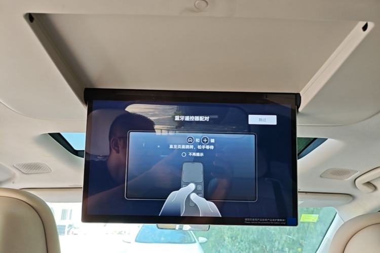 Used BYD Xia 2025 DM-i 1.5T 180km Excellence Model Headliner