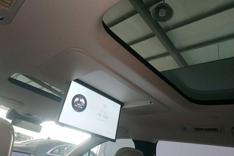 Used BYD Xia 2025 DM-i 1.5T 180km Excellence Model Headliner