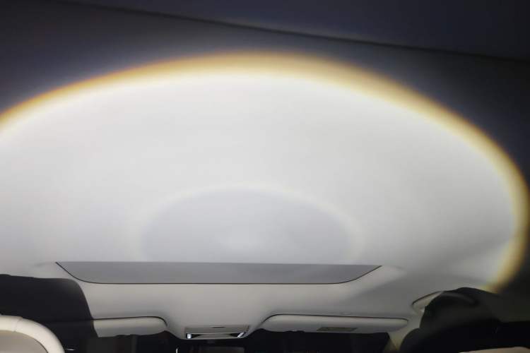 Used BYD Xia 2025 DM-i 1.5T 100km Supreme Edition Headliner