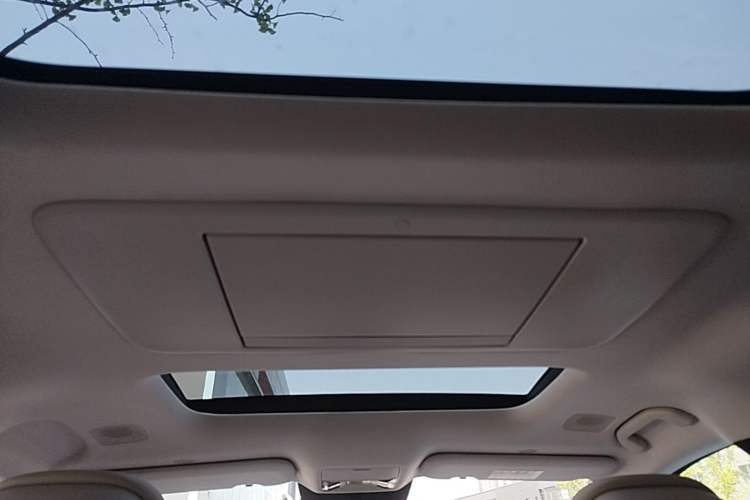 Used BYD Xia 2025 DM-i 1.5T 180km Excellence Model Headliner