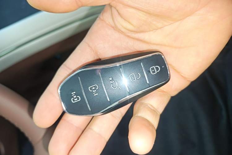Used BYD Xia 2025 DM-i 1.5T 180km Beyond Edition Interior 1