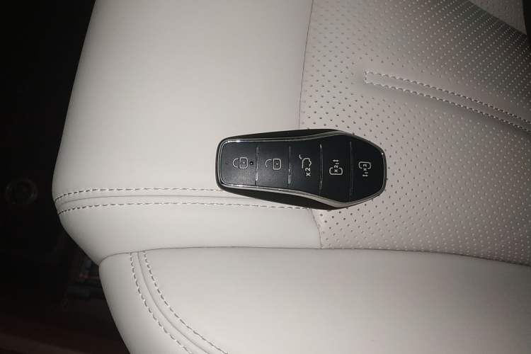 Used BYD Xia 2025 DM-i 1.5T 180km Excellence Model Interior 1