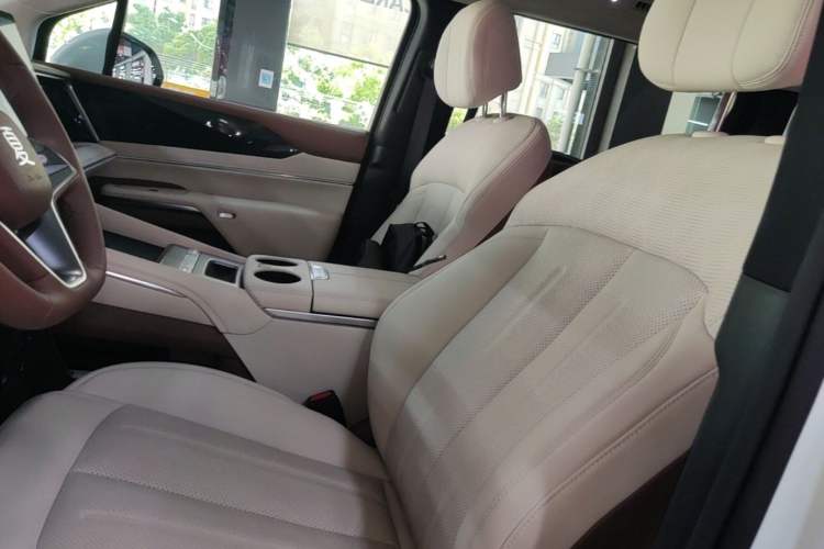 Used BYD Xia 2025 DM-i 1.5T 100km Leading Model Left Front Seat