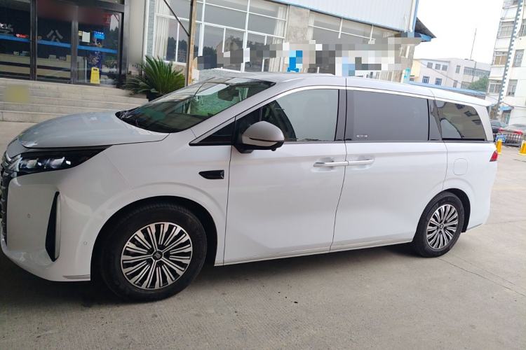 Used BYD Xia 2025 DM-i 1.5T 180km Excellence Model Left Side