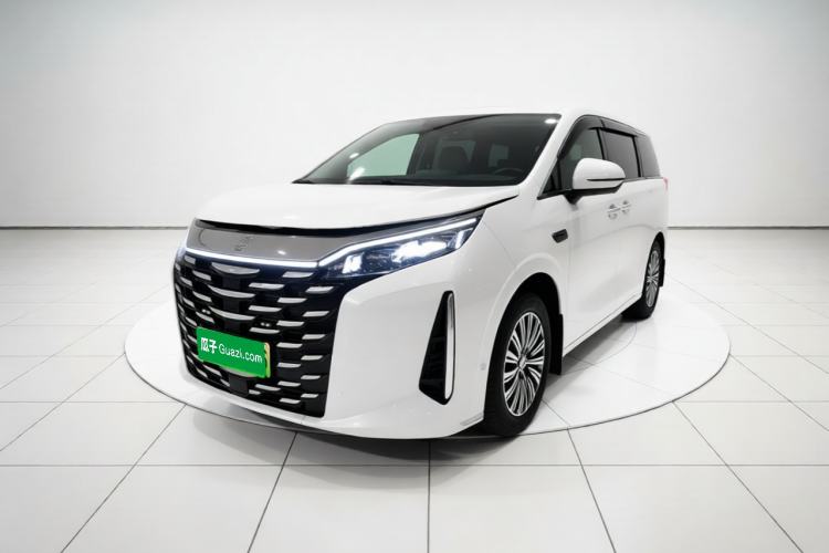 BYD Xia 2025 DM-i 1.5T 180km Excellence Model