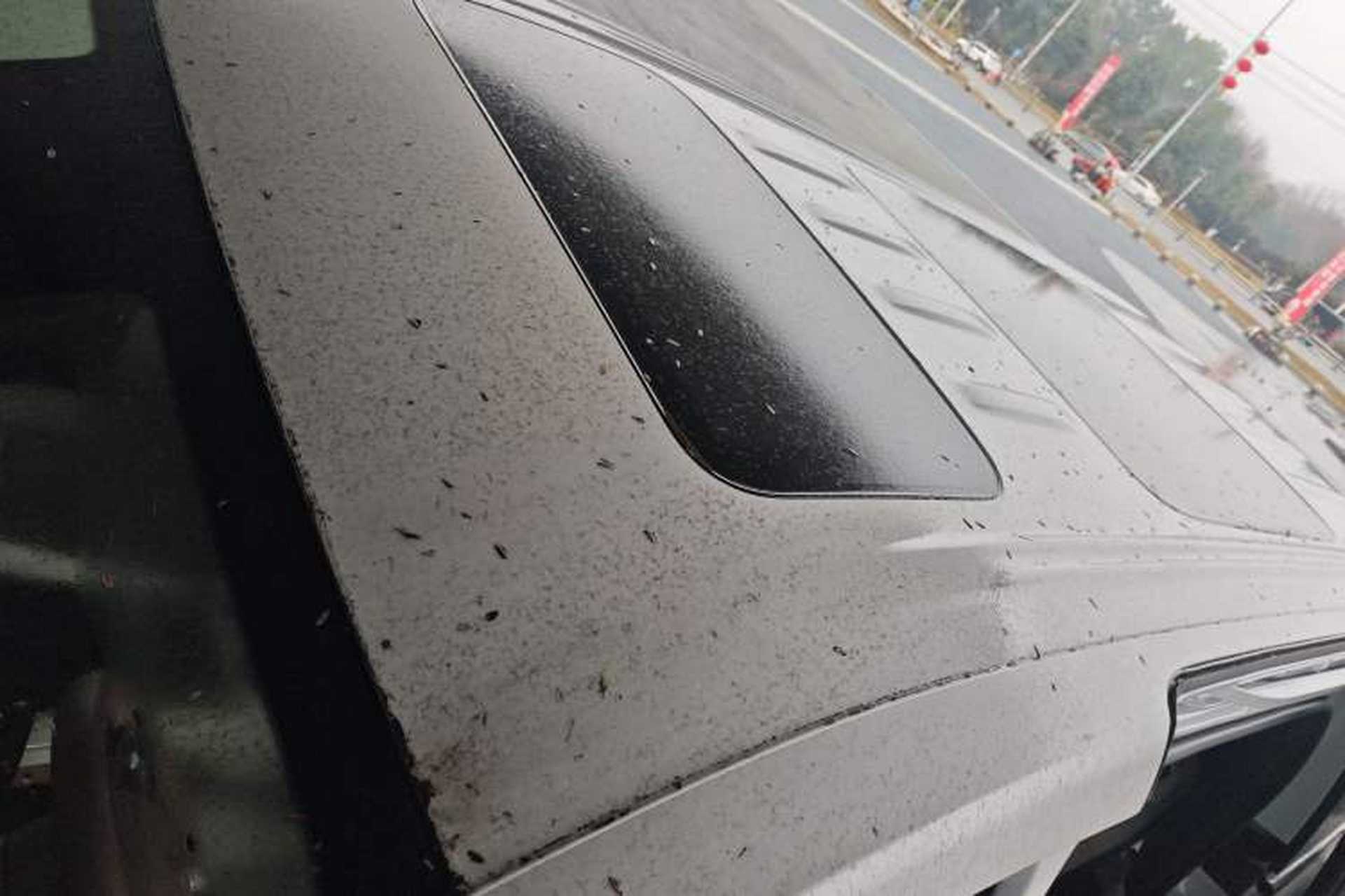 Used BYD Xia 2025 DM-i 1.5T 180km Excellence Model Roof