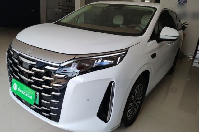Used BYD Xia 2025 DM-i 1.5T 100km Leading Model