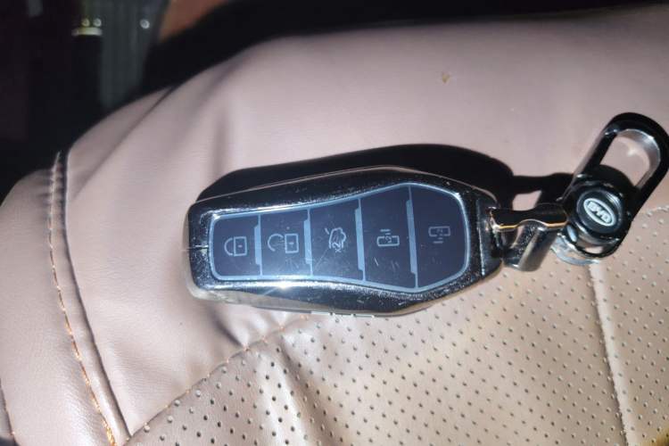 Used BYD Xia 2025 DM-i 1.5T 100km Supreme Edition Vehicle Key