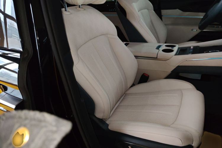 Used BYD Xia 2026 DM-i 1.5T 218KM Transcendence Edition Right Front Seat