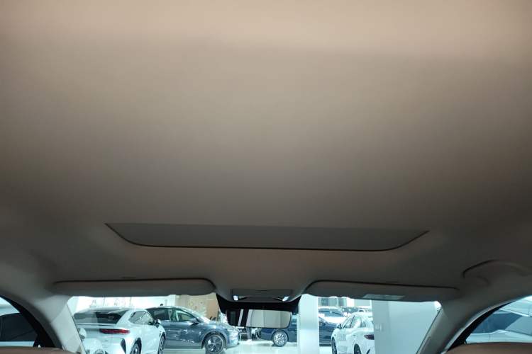 Used BYD Xia 2026 DM-i 1.5T 218KM Transcendence Edition Headliner