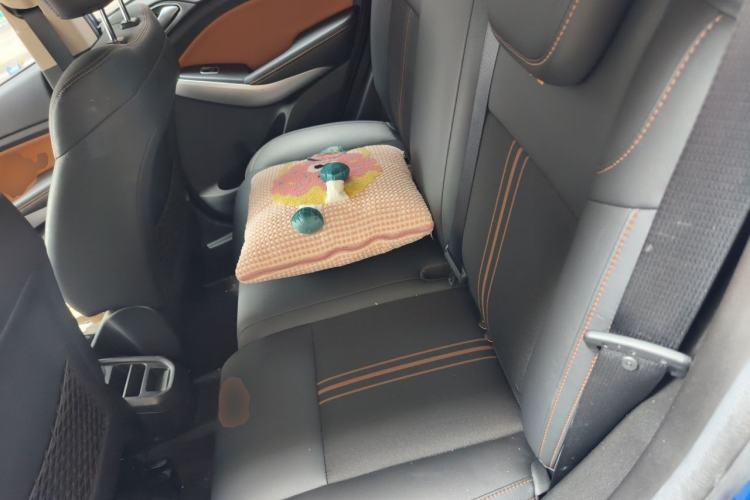 Used BYD Yuan 2016 1.5L Manual Comfort Model Left Rear Seat
