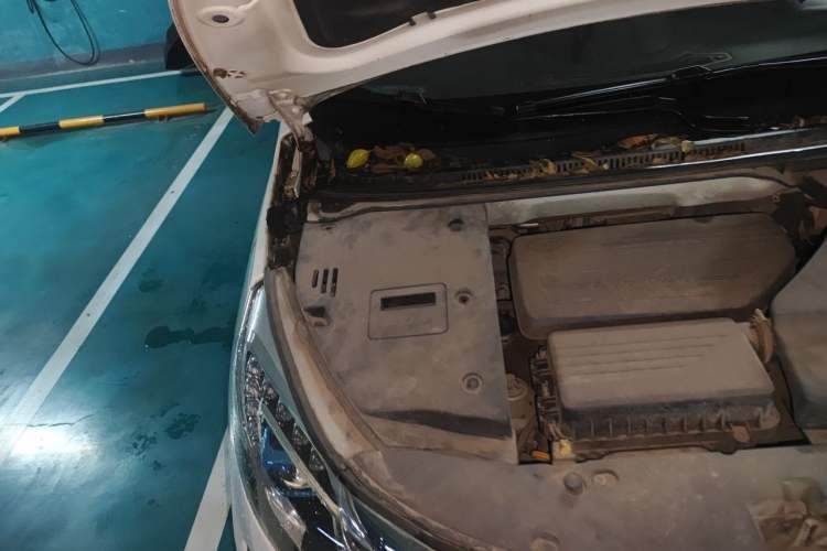 Used BYD Yuan 2016 1.5L Manual Luxury Model Engine Bay Right