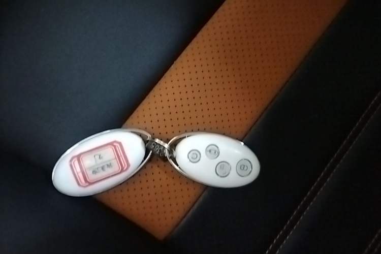 Used BYD Yuan 2016 1.5L Manual Luxury Version Vehicle Key