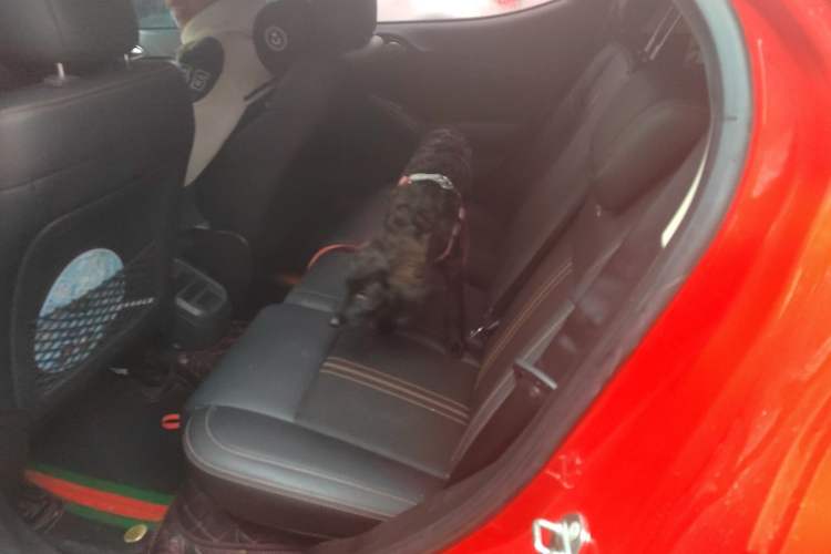 Used BYD Yuan 2017 1.5L Automatic Cool & Connected Model Left Rear Seat
