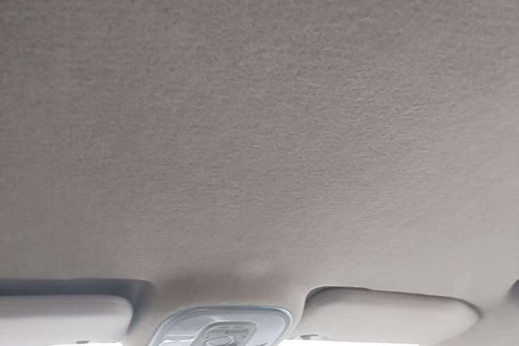 Used BYD Yuan 2017 1.5L Automatic Cool & Connected Model Headliner