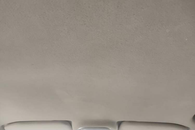 Used BYD Yuan 2017 1.5L Automatic Cool & Connected Model Headliner