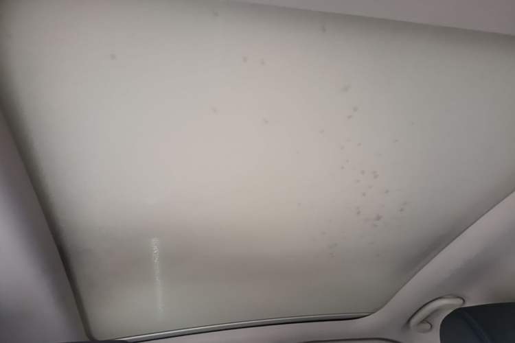 Used BYD Yuan New Energy 2018 EV360 Smart Connect Cool Edition Headliner