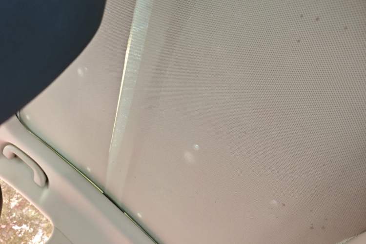 Used BYD Yuan New Energy 2018 EV360 Smart Connect Cool Edition Headliner