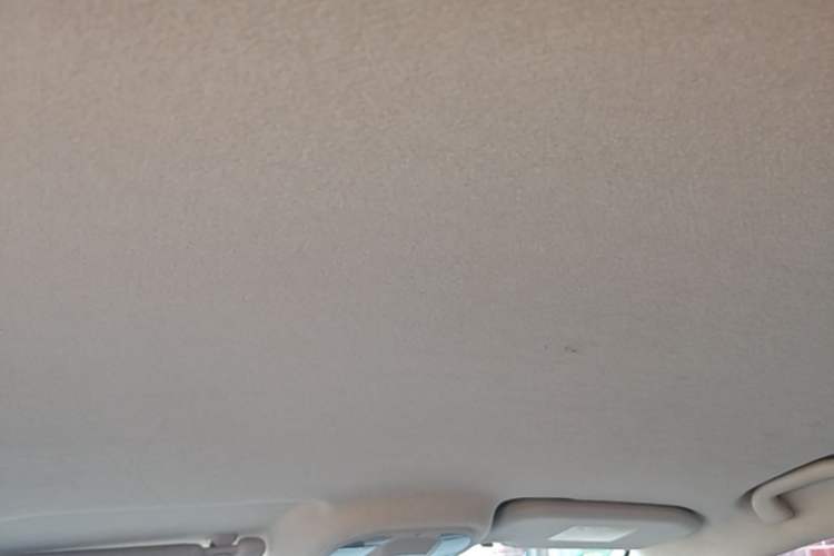 Used BYD Yuan New Energy 2019 EV535 Smart Connect Trendsetting Model Headliner