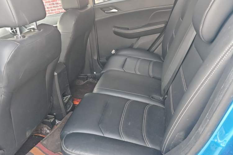 Used BYD Yuan New Energy 2019 EV535 Smart Connect Trendsetting Model Left Rear Seat