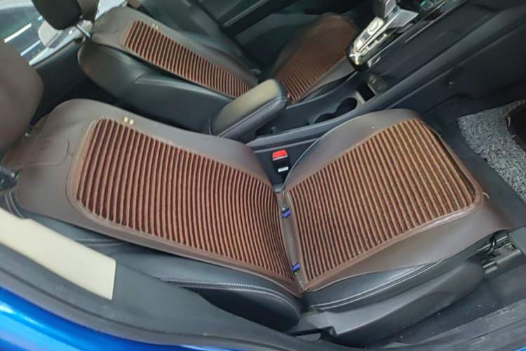 Used BYD Yuan New Energy 2019 EV535 Smart Connect Trendsetting Model Right Front Seat