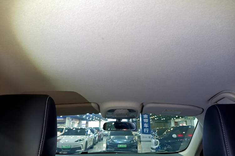 Used BYD Yuan New Energy 2019 EV535 Smart Connect Trendsetting Model Headliner