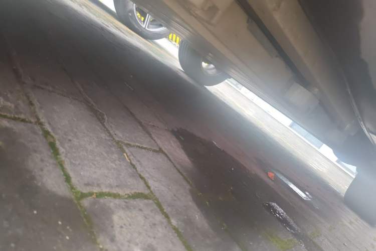 Used BYD Yuan New Energy 2019 EV535 Smart Connect Trendsetting Model Chassis Front Left