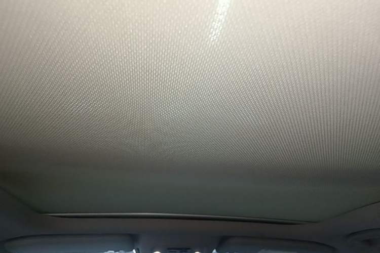 Used BYD Yuan New Energy 2019 EV535 High-Energy Leading Edition Headliner