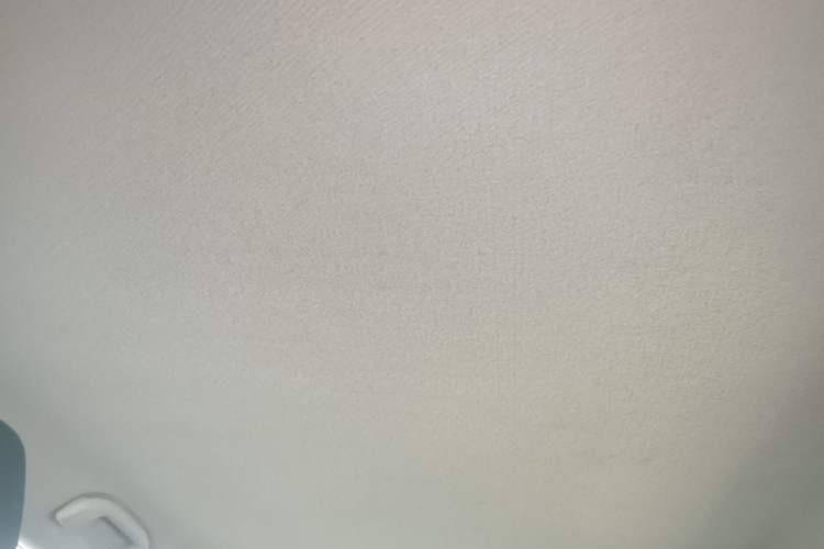 Used BYD Yuan New Energy 2019 EV535 Smart Connect Trendsetting Model Headliner