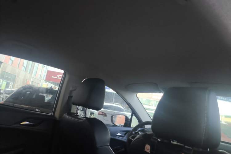 Used BYD Yuan New Energy 2019 EV535 Smart Connect Trendsetting Model Interior 4